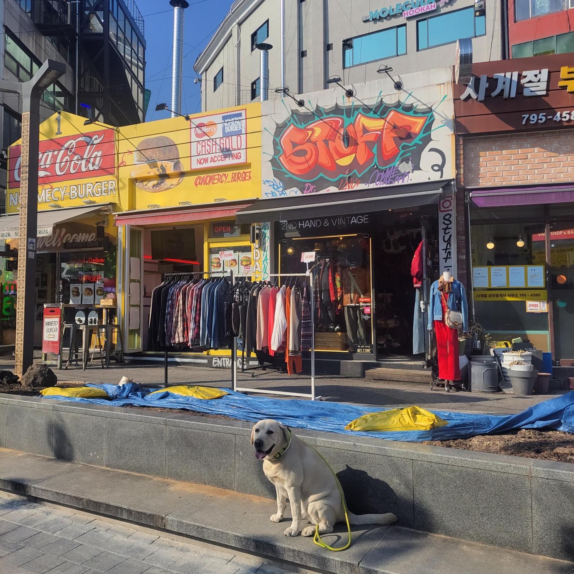 Newly Renovated Cozy Studio#9 Seoul Eksteriør bilde
