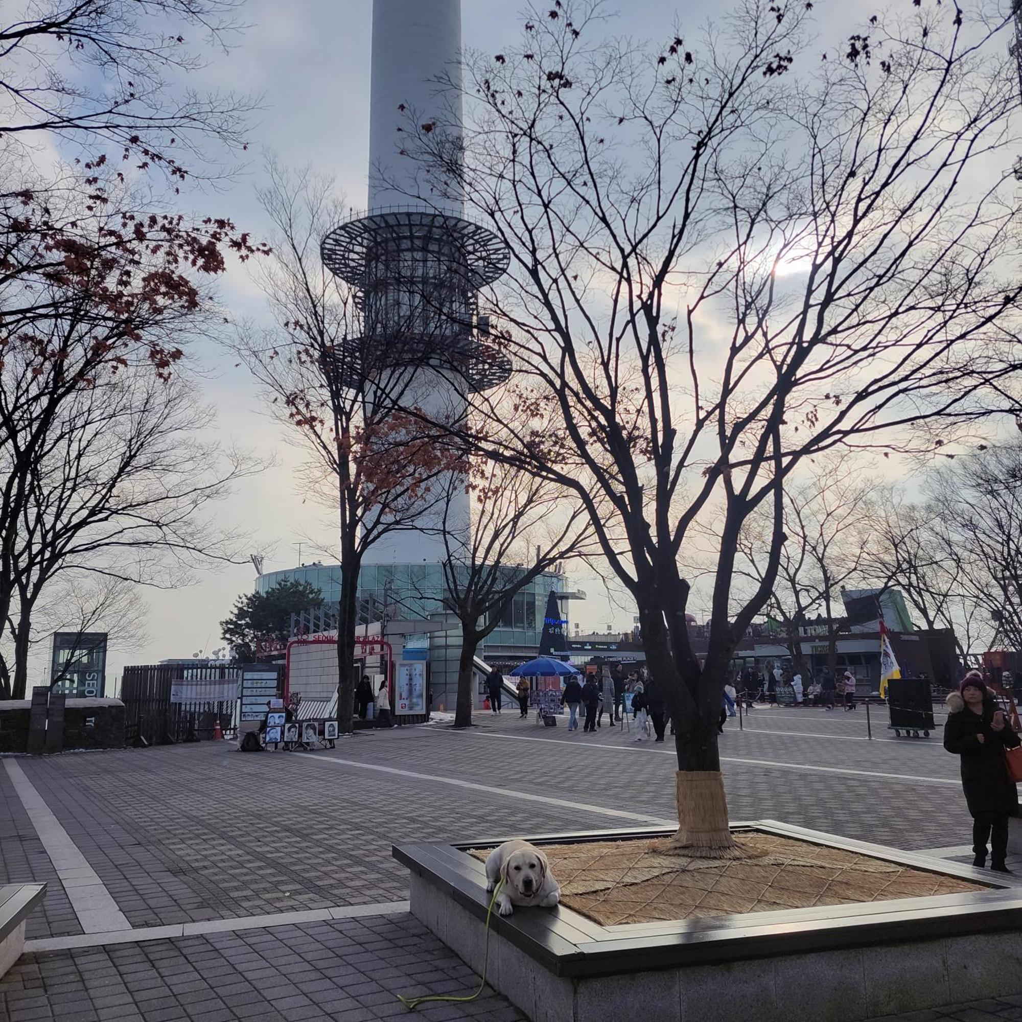 Newly Renovated Cozy Studio#9 Seoul Eksteriør bilde